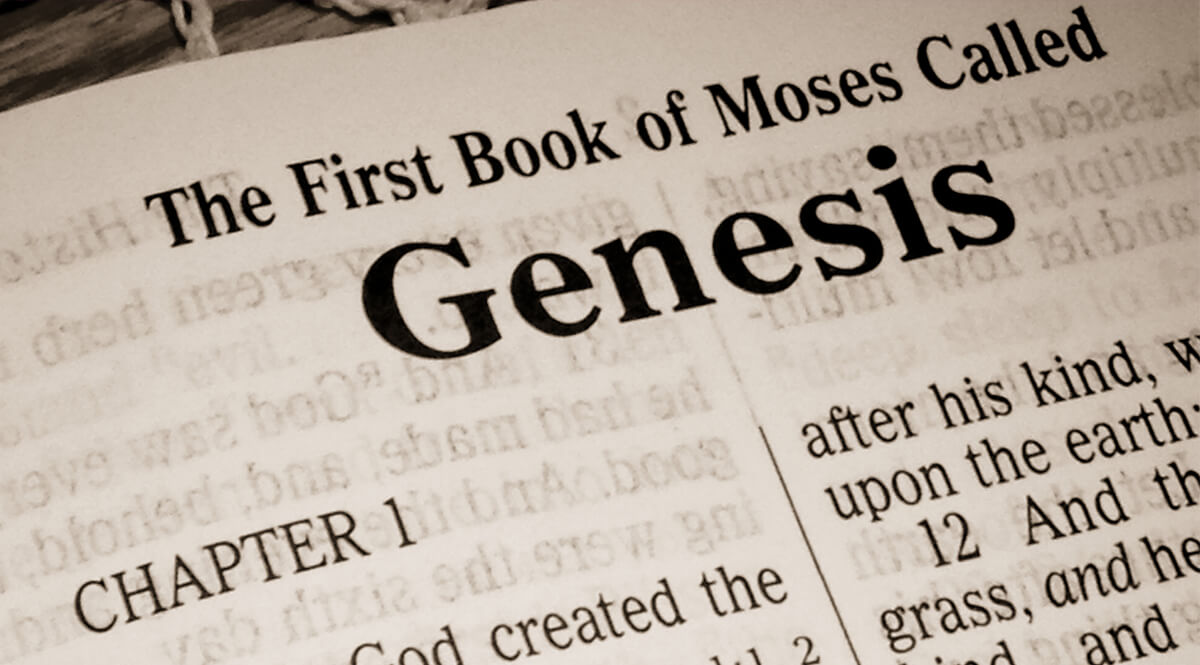 Answering Two Objections Concerning my Essay on Genesis photo